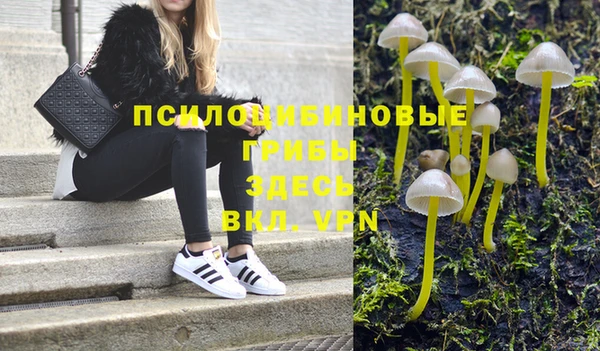 шишки Медногорск