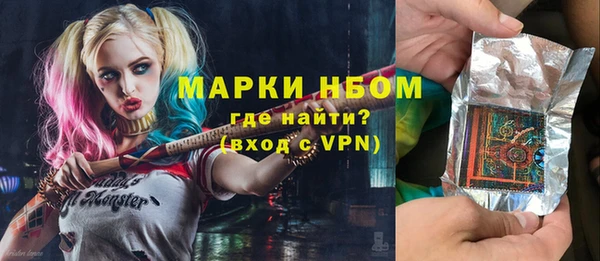 шишки Медногорск