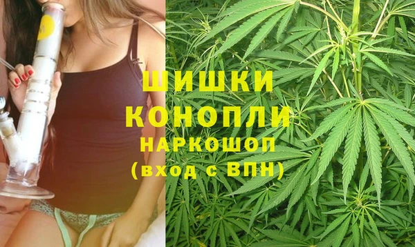 винт Пионерский