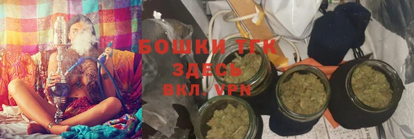 шишки Медногорск