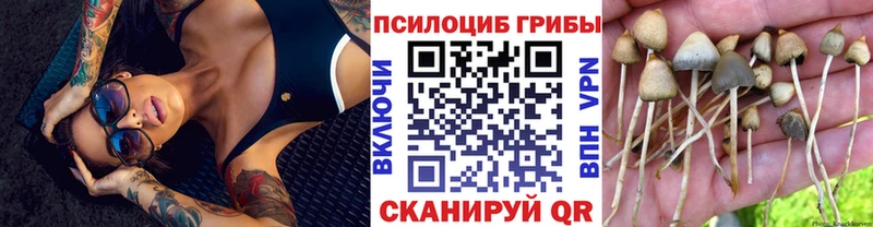 Галлюциногенные грибы мицелий  MEGA зеркало  Ачхой-Мартан 